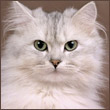 Lidiya